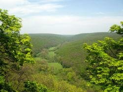 Природний заповідник Медобори