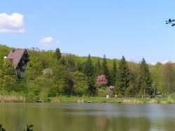 Готель Дубки