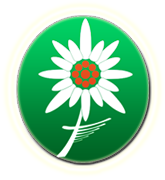 edelvejs hotel mykulychyn