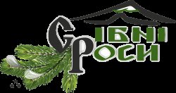 Готель Срiбнi Роси