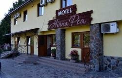 Мотель Нічна Фея